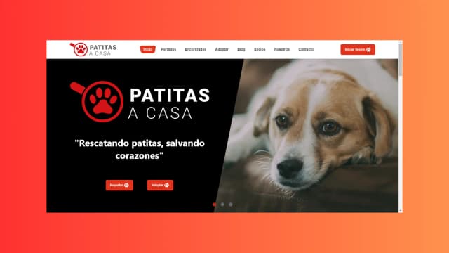 Patitas A Casa + image